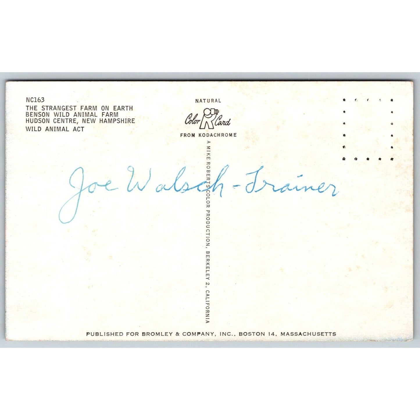 Benson Wild Animal Farm Hudson Centre, NH Wild Animal Act Postcard NP c1950's