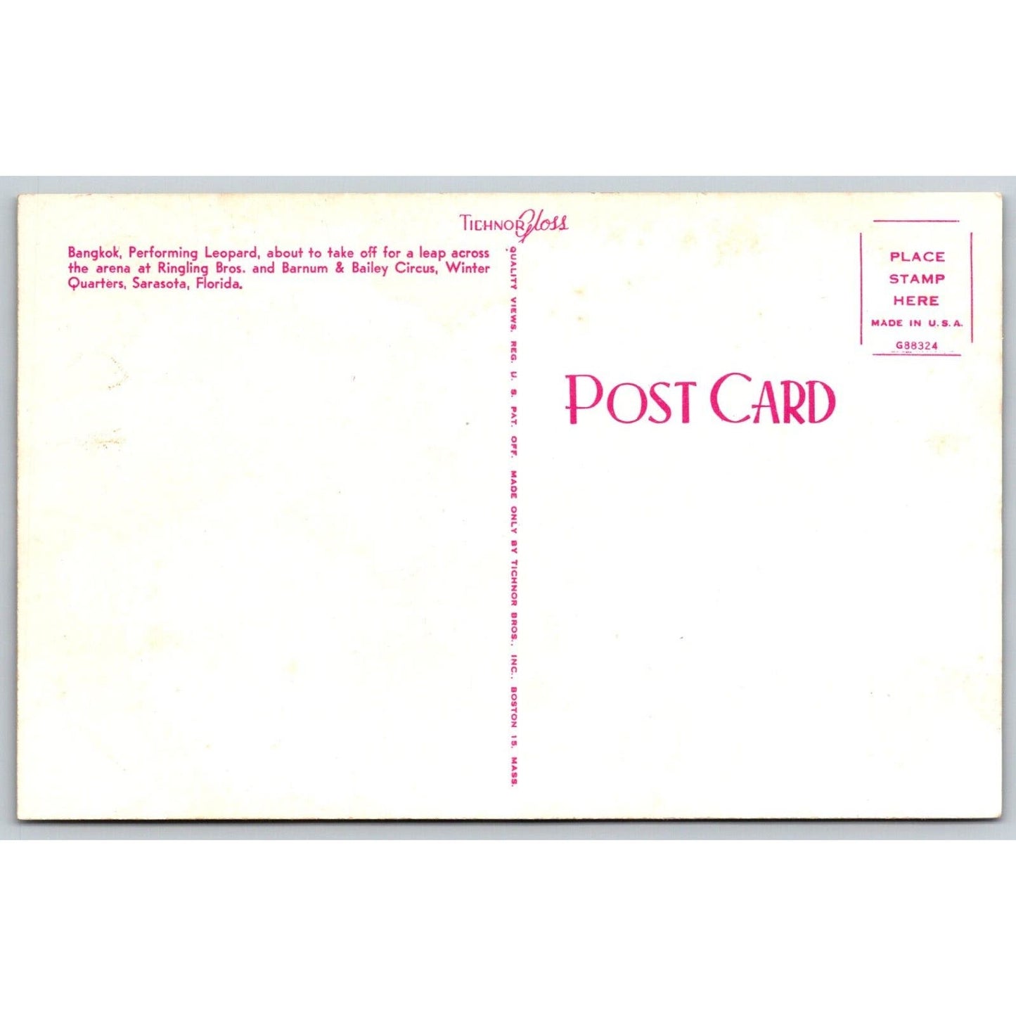 Ringling Bros. Bangkok Performing Leopard Sarasota Postcard VGC NP c1960