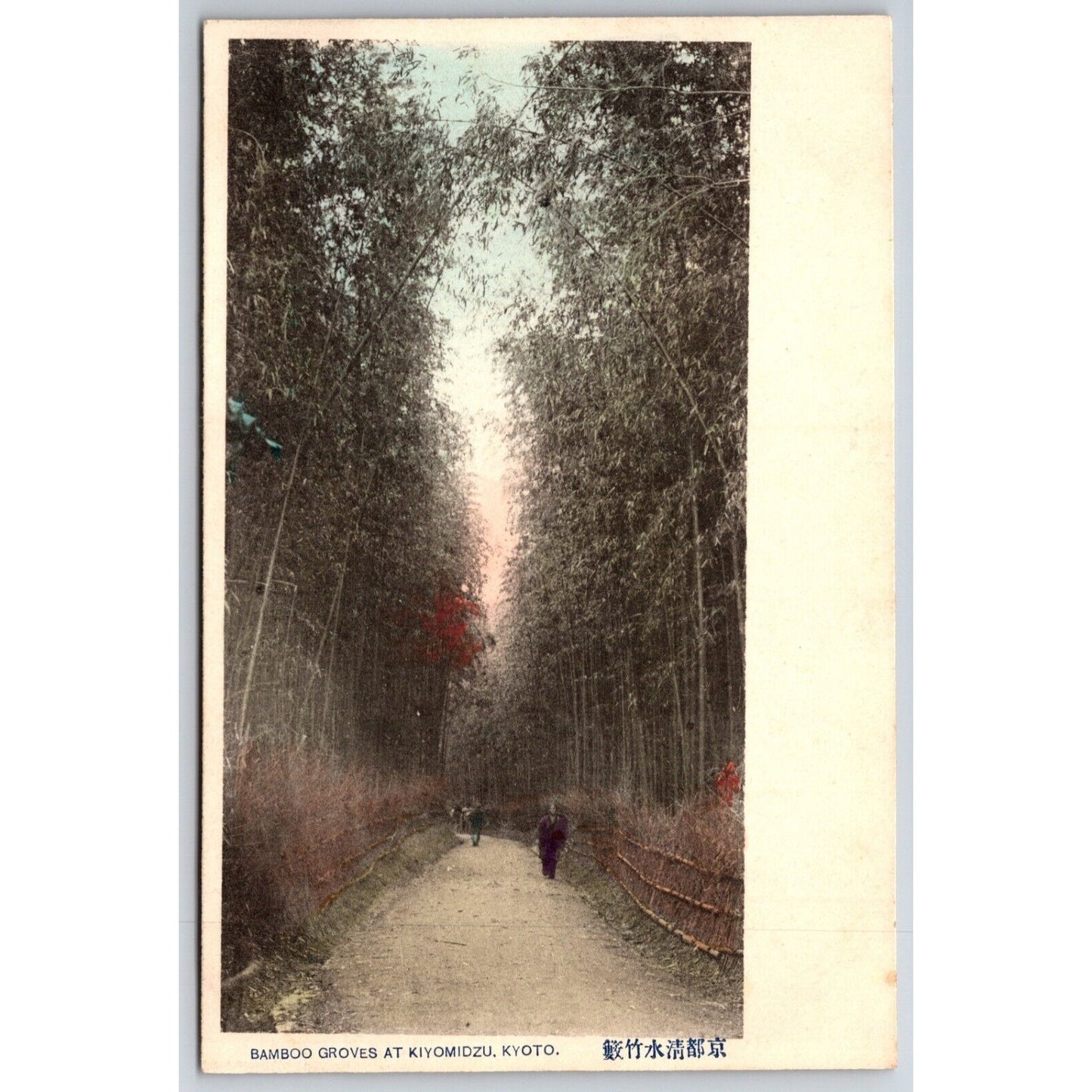 Bamboo Groves of Kiyomizu at Kyoto Japanese Postcard Tinted RPPC* c1901-07 VGC