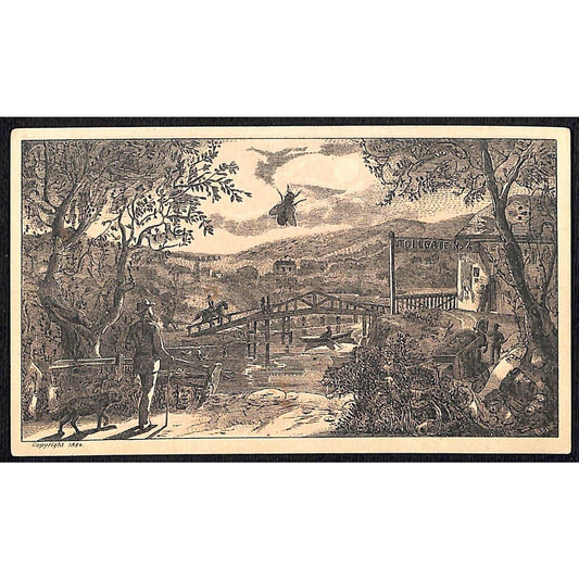 Dr. Abbey's Creat Specific Victorian Puzzle Trade Card .. Sexual Derangements ..