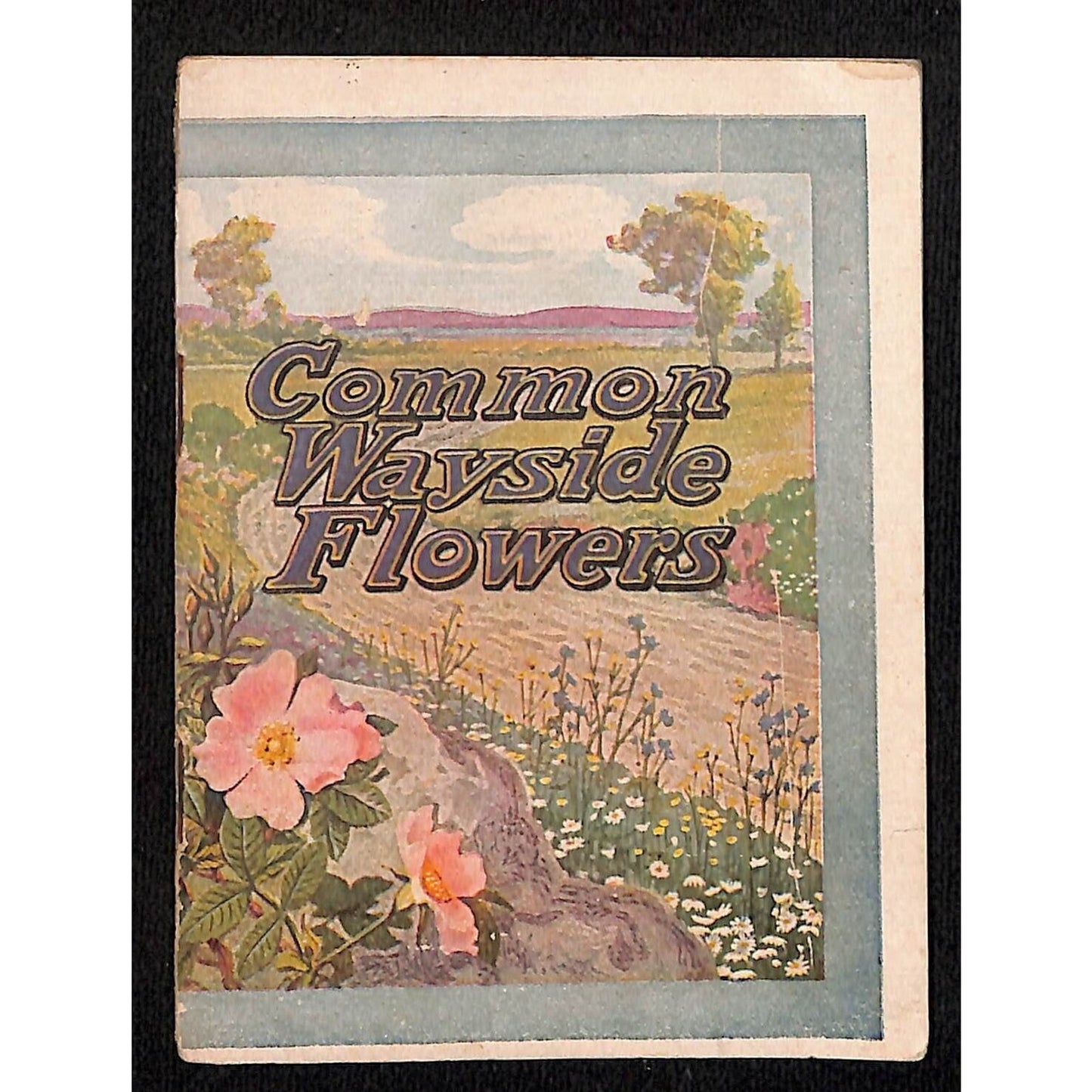 White House Coffee Tea 16pp 1922 "Common Wayside Flowers" 3 1/4" x 4" Booklet