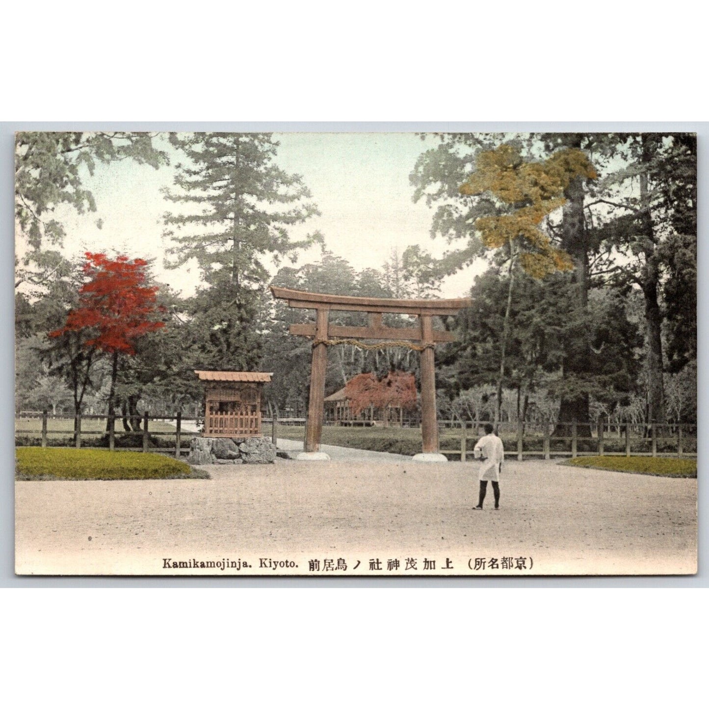 Kamikamojinja Kyoto Japanese Postcard Tinted RPPC* c1910-20's VGC