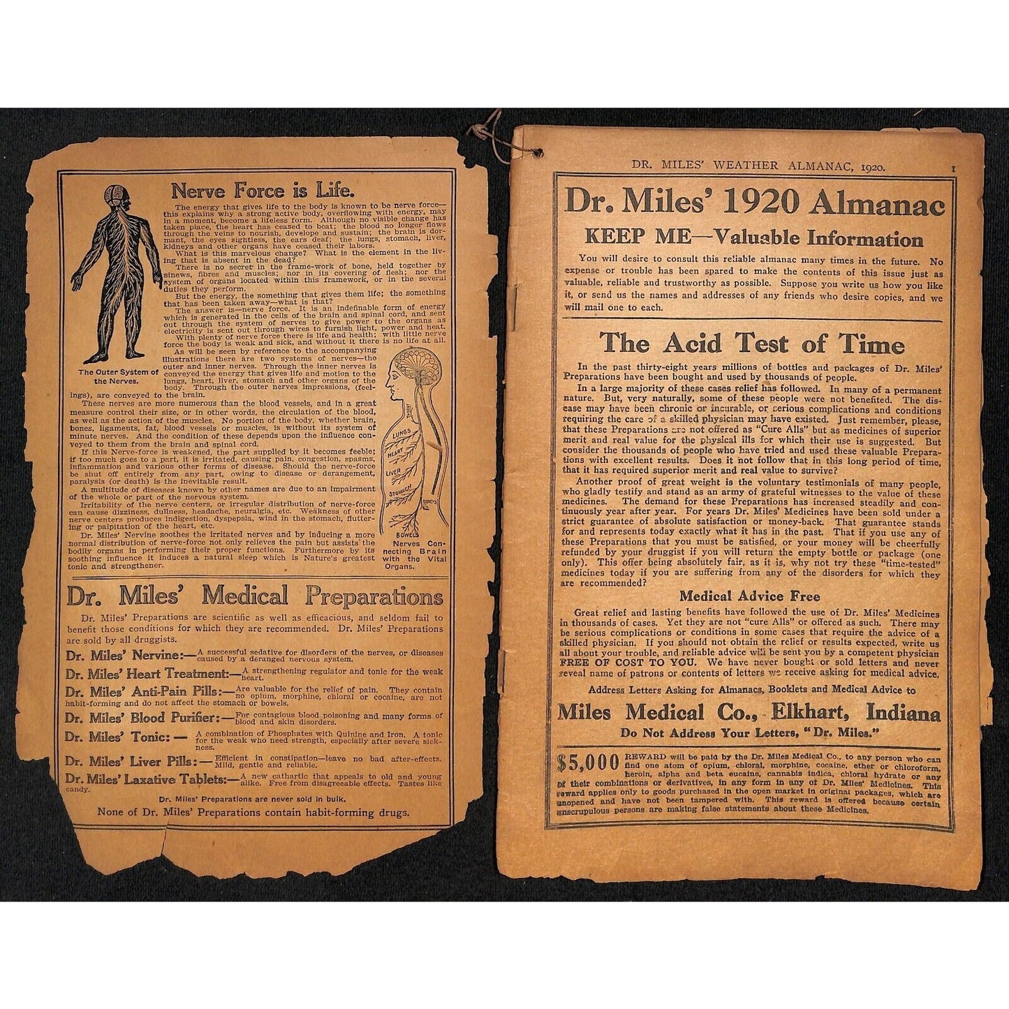 1933 Dr. Mills All Weather Almanac and Handbook 32pp & 1920 Edition in Bad Shape