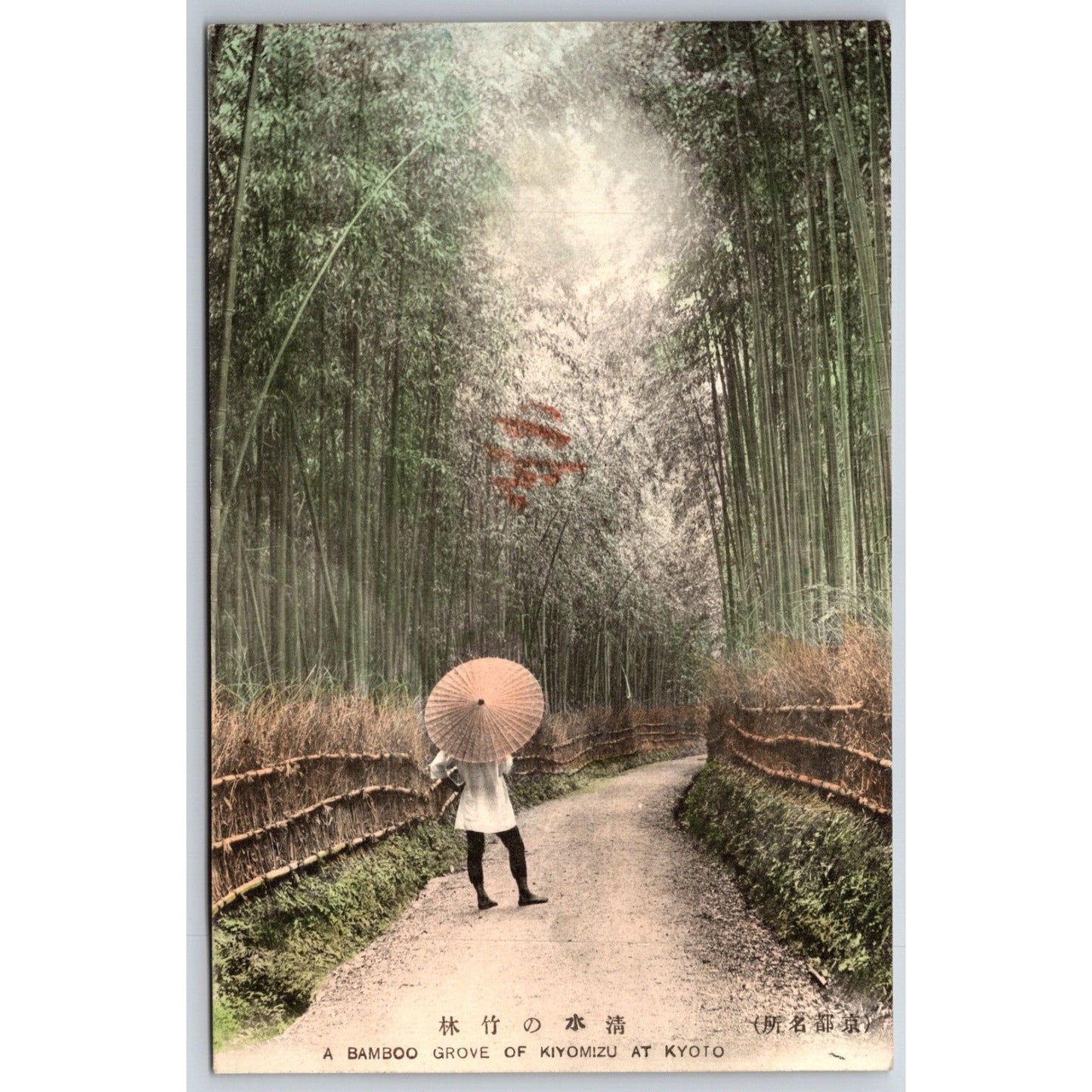 A Bamboo Grove of Kiyomizu at Kyoto Japanese Postcard Tinted RPPC* c1901-07 VGC