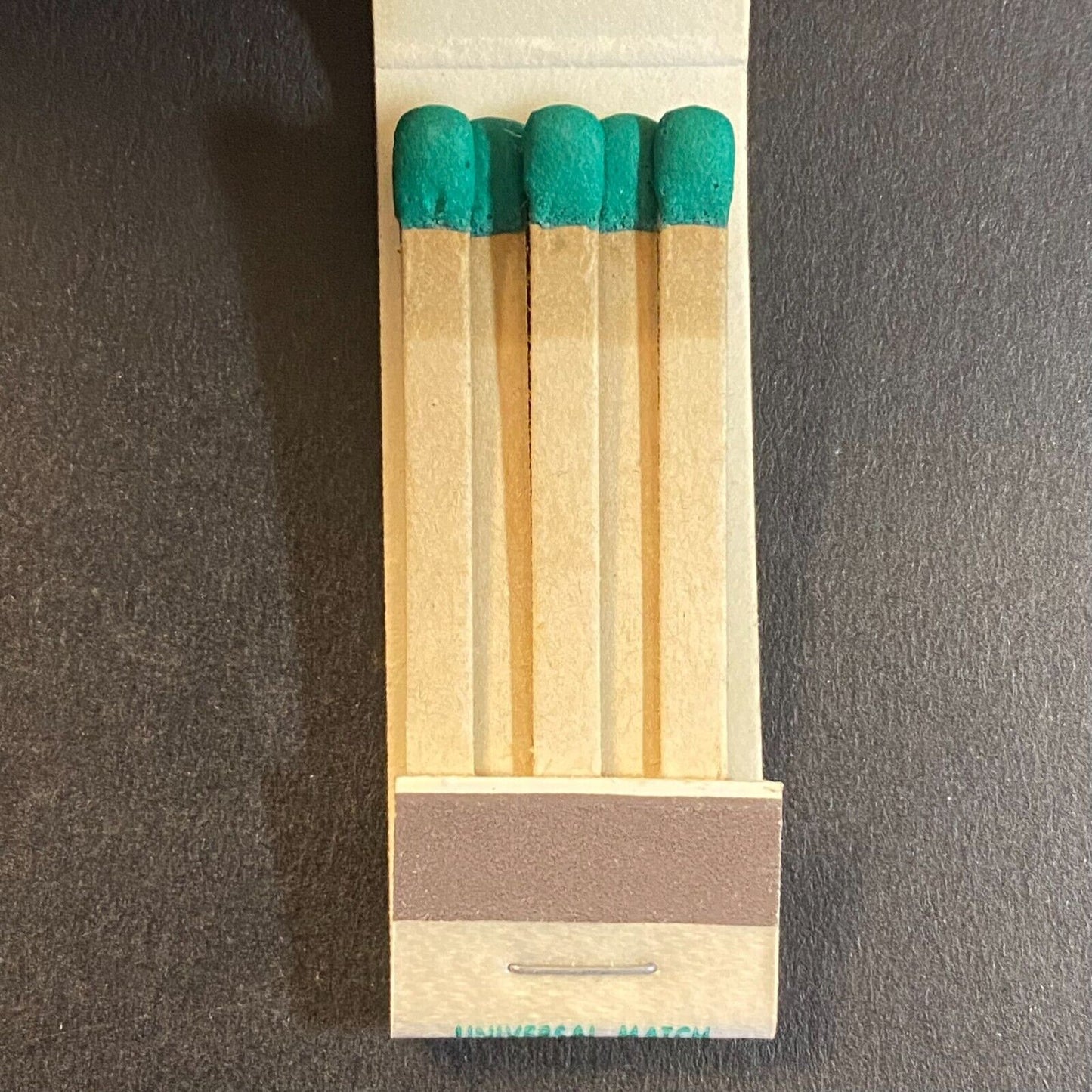 Daylight Landscape Co. Chicago? Full Slim 10-Strike Matchbook c1960's-73 VGC