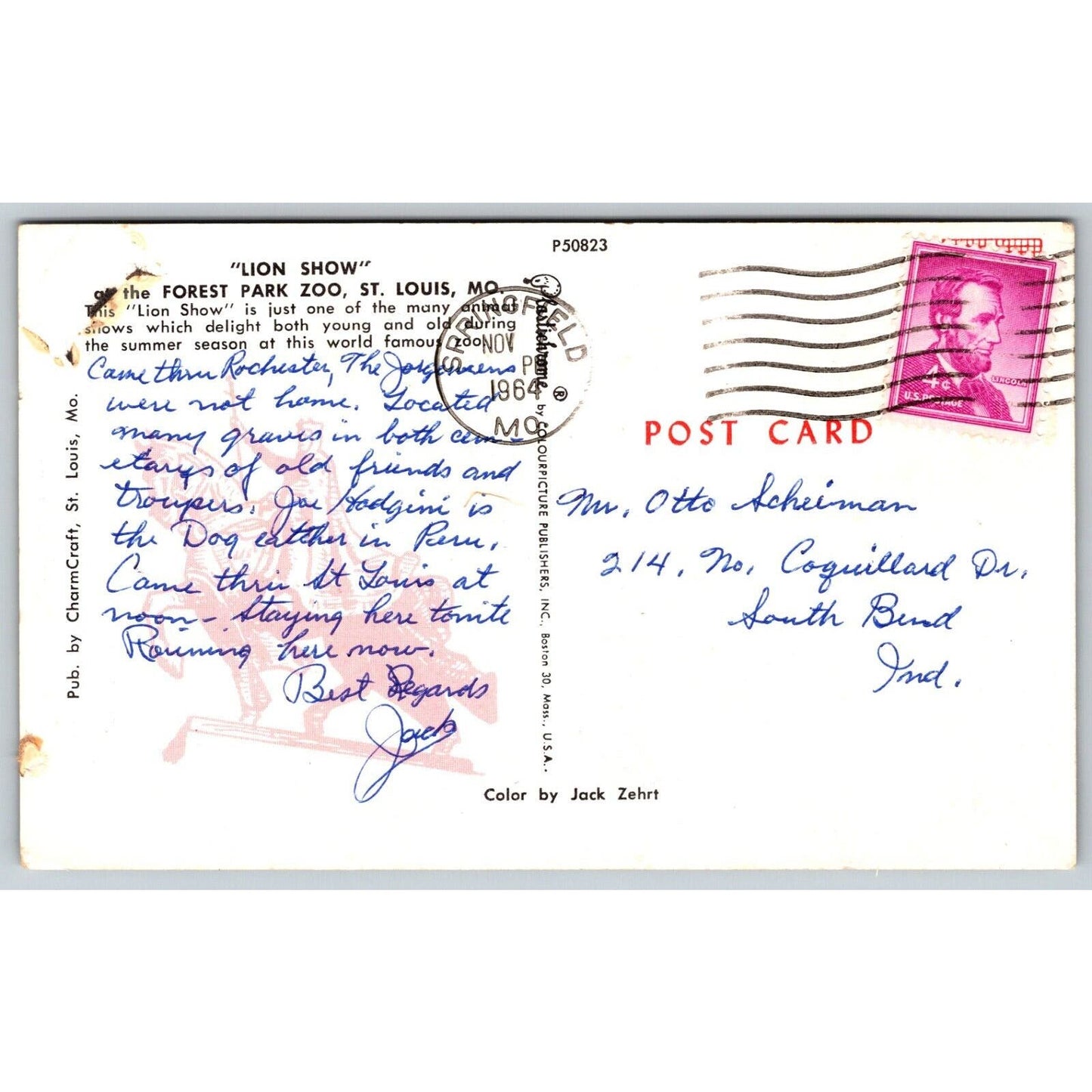 Lion Show Forest Park Zoo, St. Louis, MO Postcard PM 1964