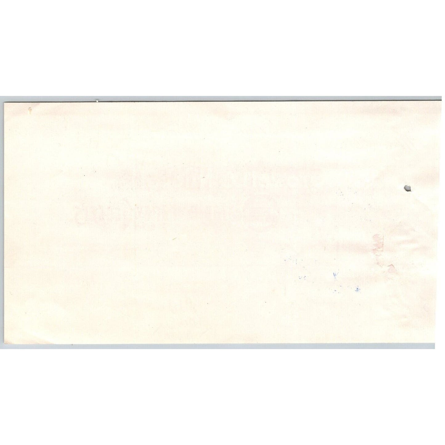 Dillon, MT Crowell & Nuckolls Staple & Fancy Goods 1895 Billhead Raspberries