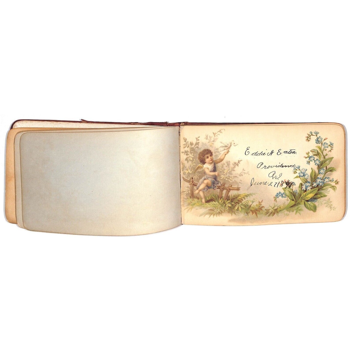 1881 1885 Victorian Signature Book w/ some Color Illustration Pages