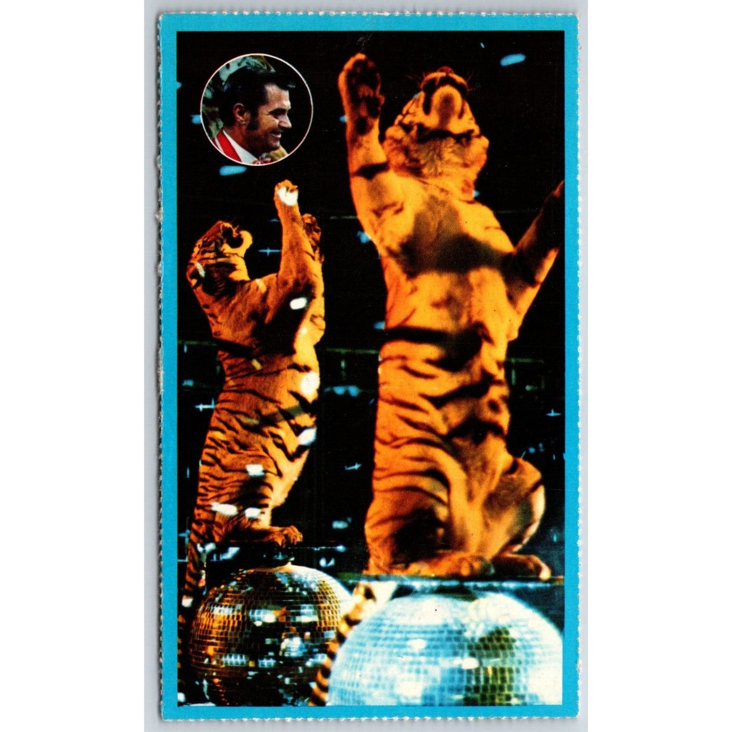Ringling Bros. Barnum Bailey Circus Twirling Tigers Postcard VGC NP c1973