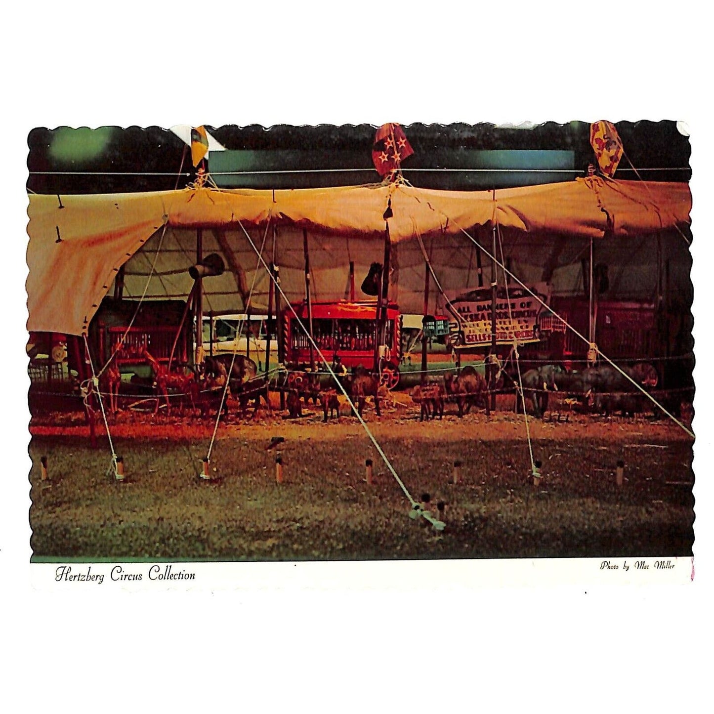 Hertzberg Circus Collection "The Big Top" 1971 Postcard 4" x 6" RPPC*