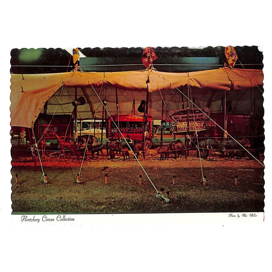 Hertzberg Circus Collection "The Big Top" 1971 Postcard 4" x 6" RPPC*