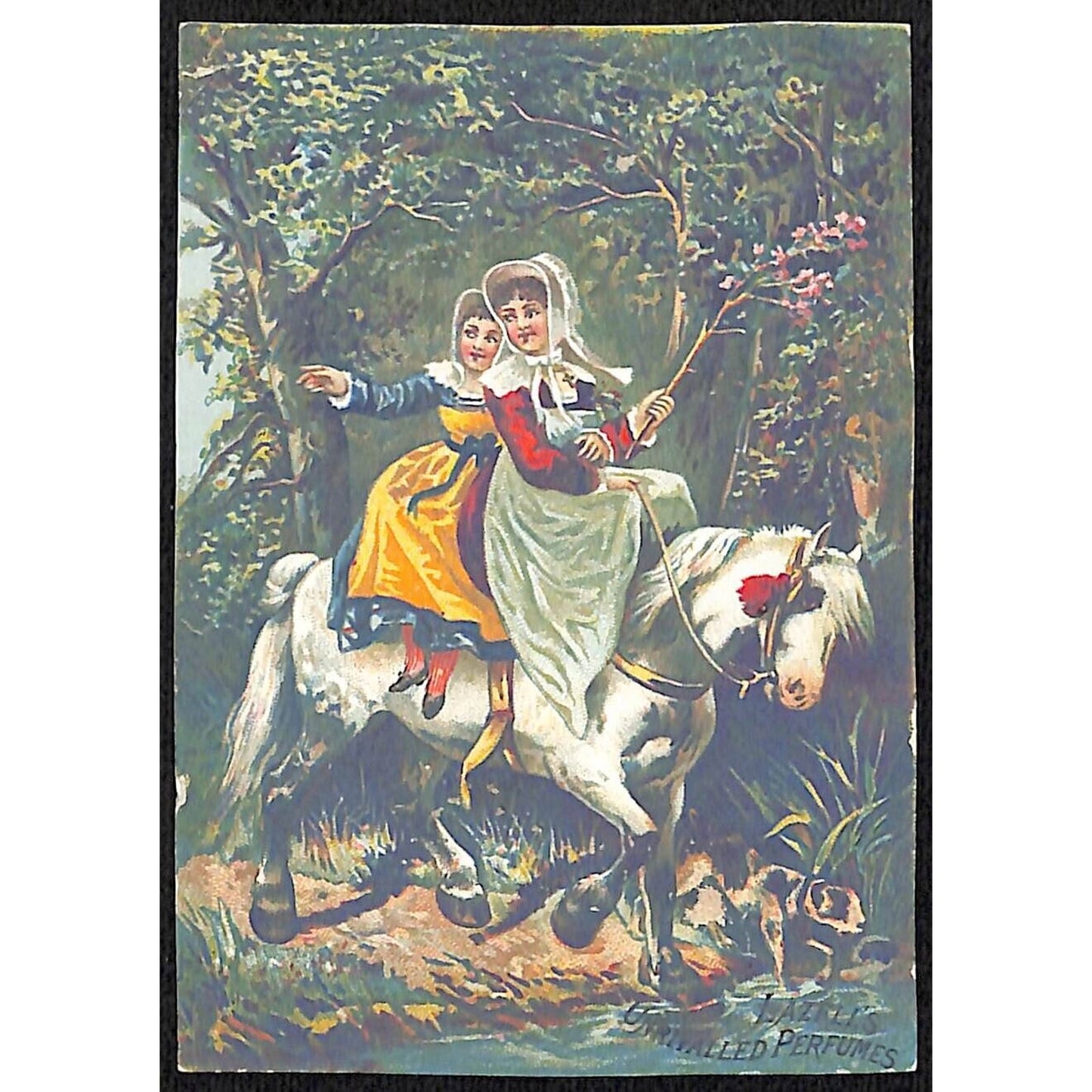 Hazell's Perfumes Hazell & Dalley & Co. NY Victorian Trade Card Women Ride Horse
