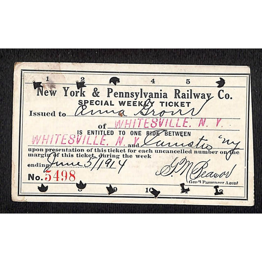 New York & Pennsylvania Ry 1914 Special Weekly Ticket Scarce #5498