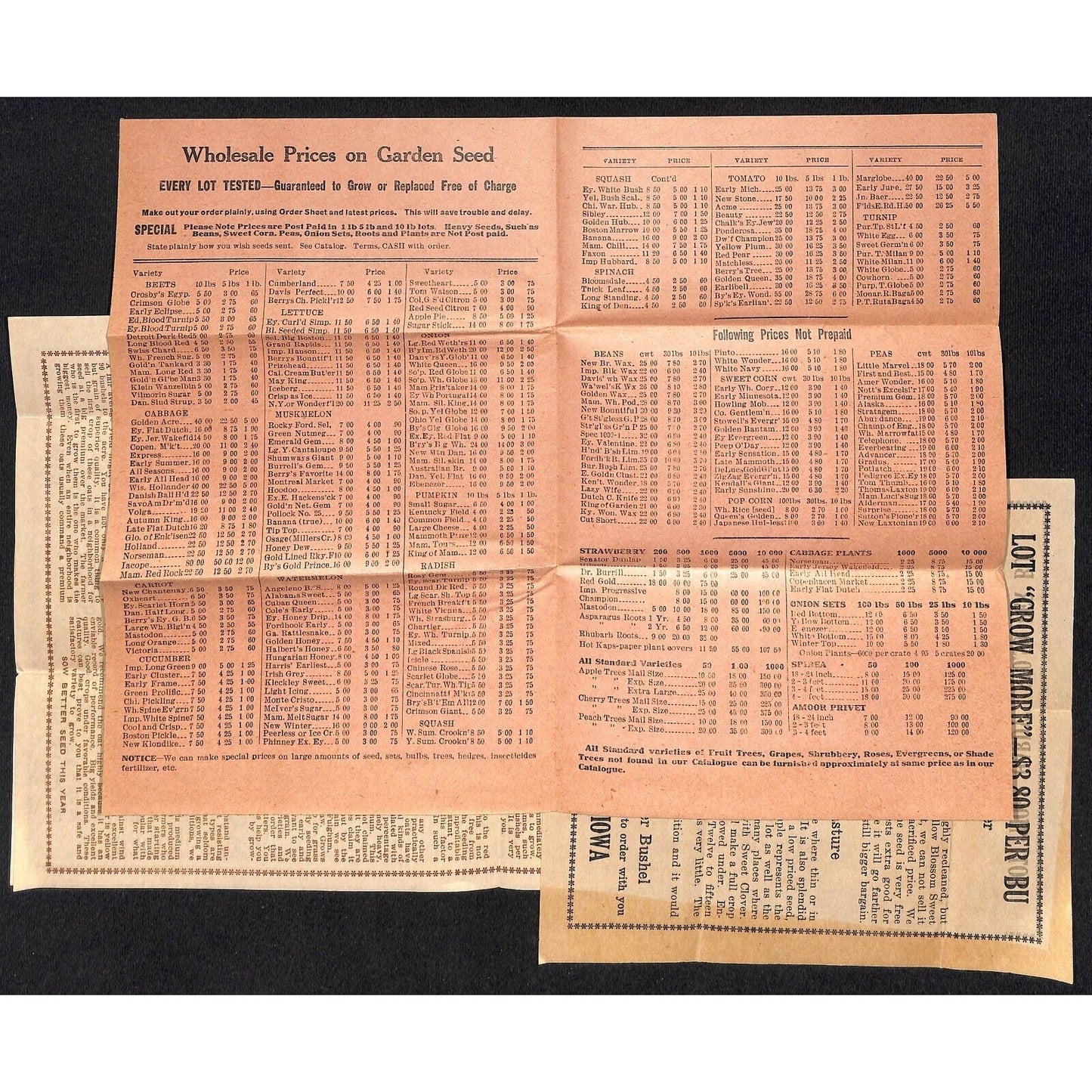 1929 Berry Seed Co. Clarinda, IA Letterheads, Product, Price Sheets & Packets