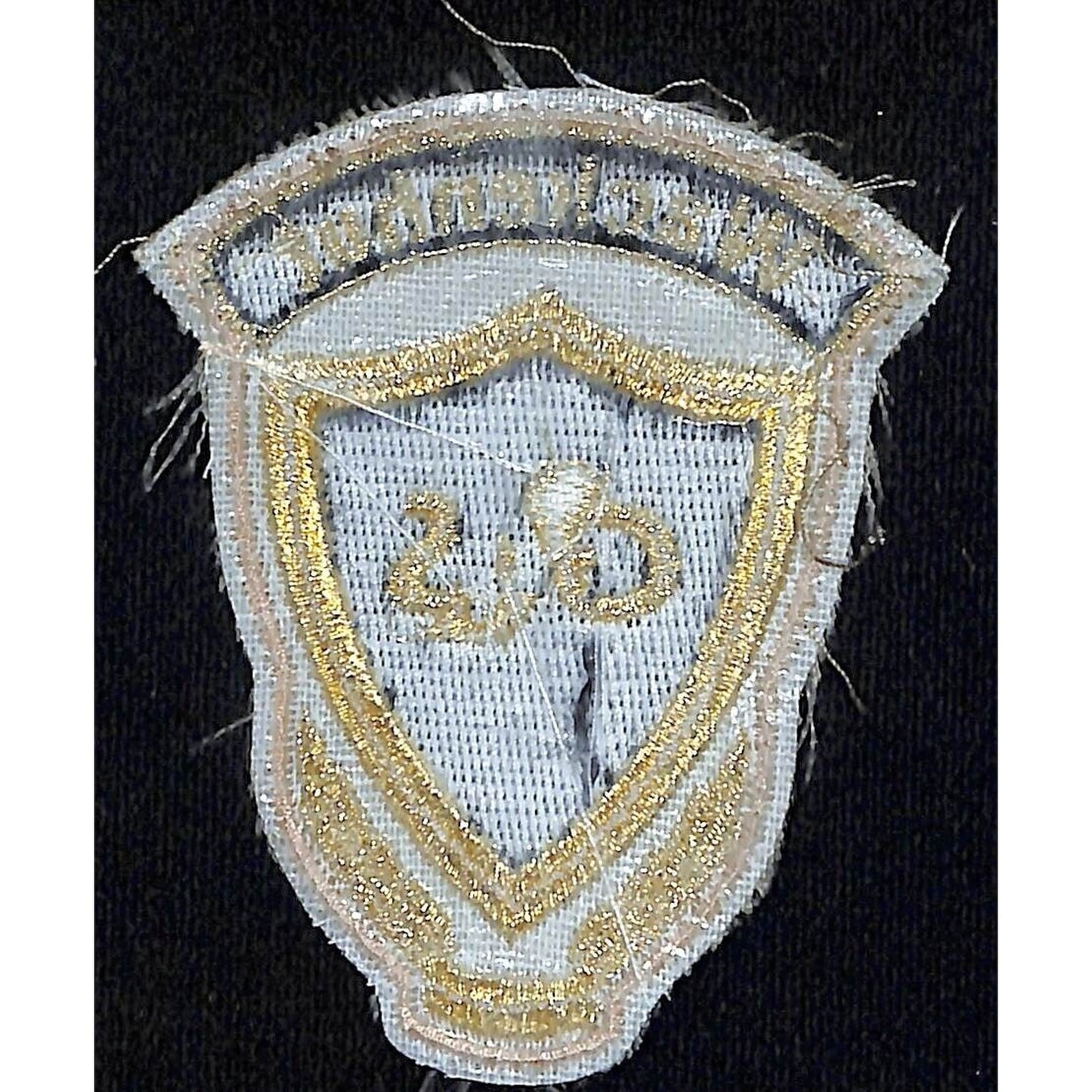 Wackenhut G4S Security Gaurd Embr. Patch c1980's? 3.5" H VGC Gold Thread