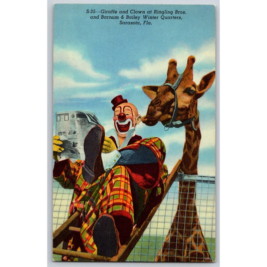 Giraffe and Clown Ringling Bros. Sarasota Circus Postcard c1940's-50's NP VGC