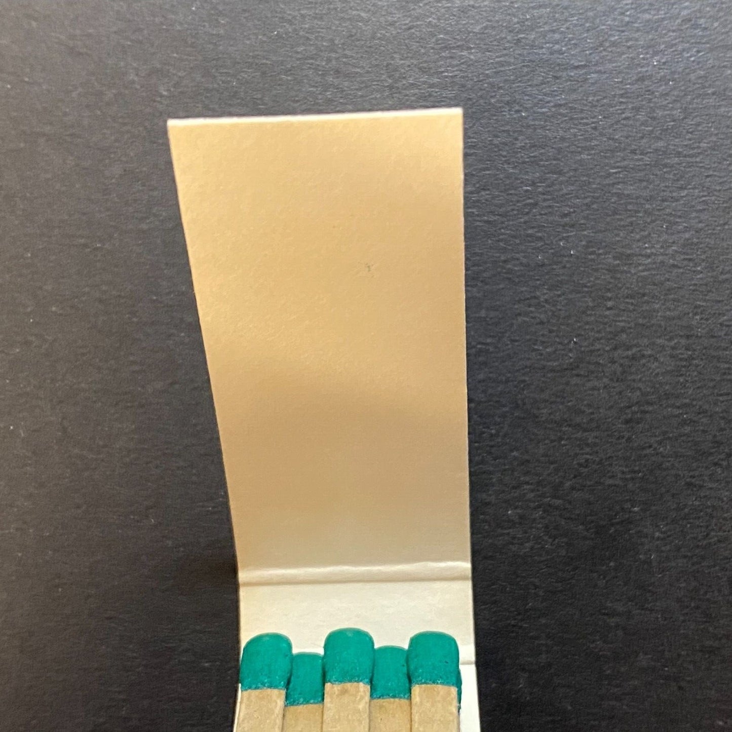 Daylight Landscape Co. Chicago? Full Slim 10-Strike Matchbook c1960's-73 VGC
