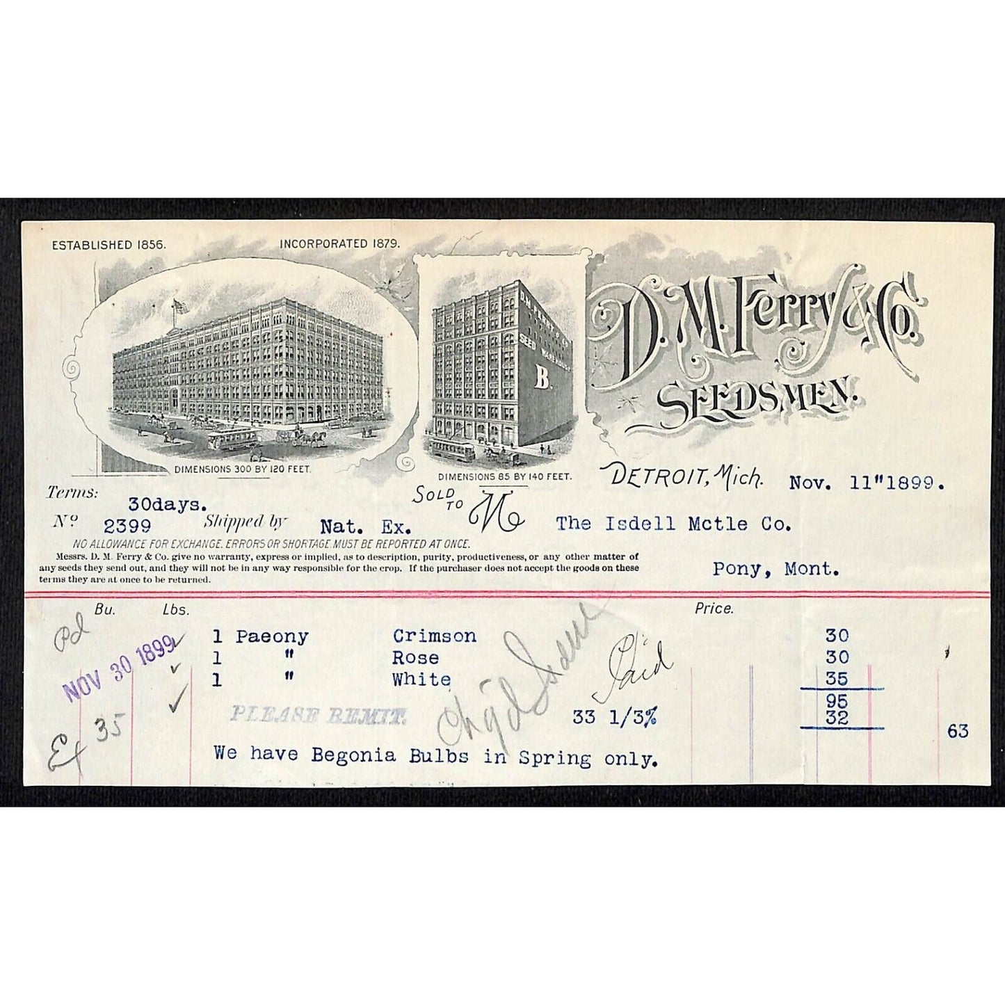 D.M. Ferry & Co. Ferry Seeds Seedmen Detroit, MI 1899 Billhead Vignette