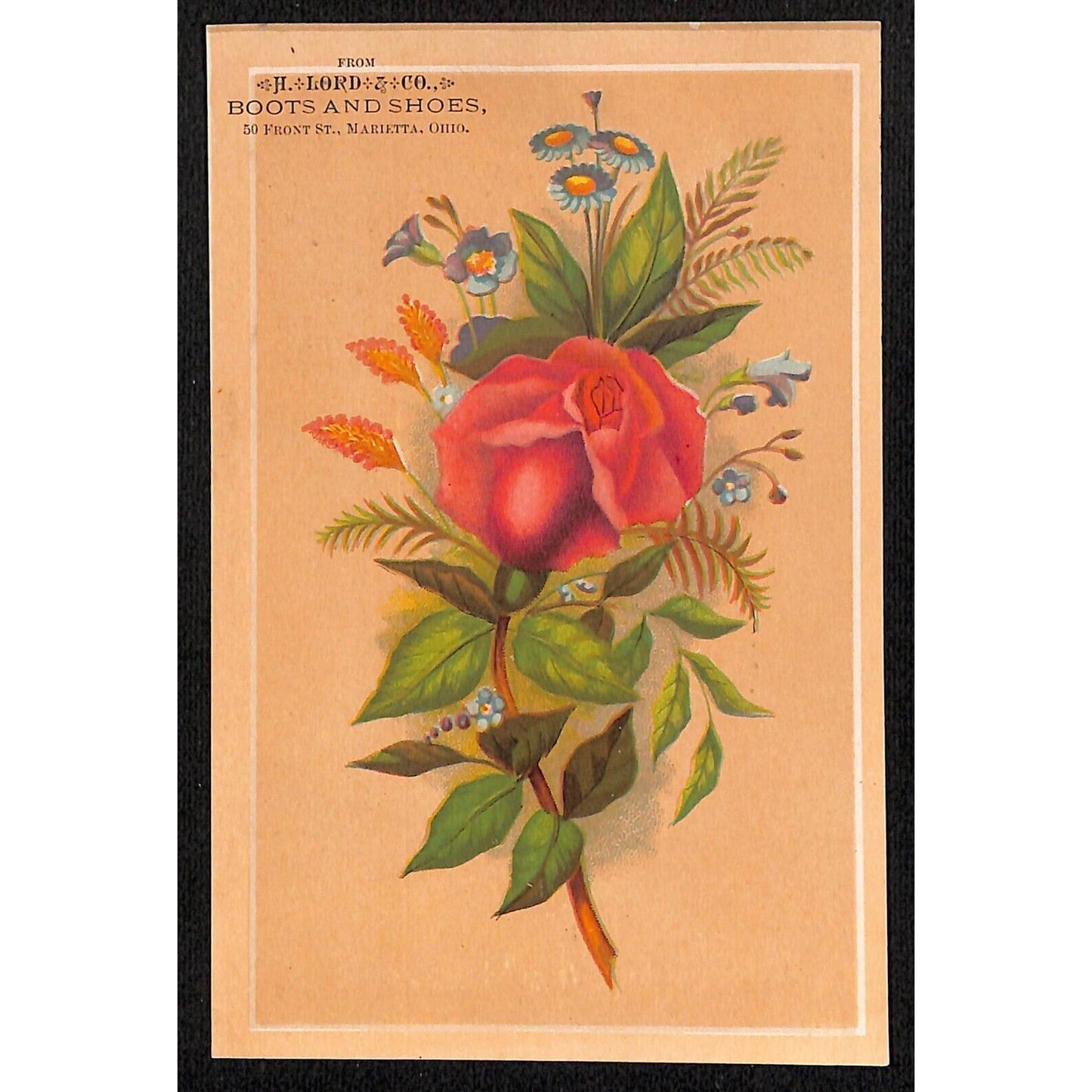 H. Lord & Co. Boots and Shoes Marietta, OH Victorian Trade Card Rose