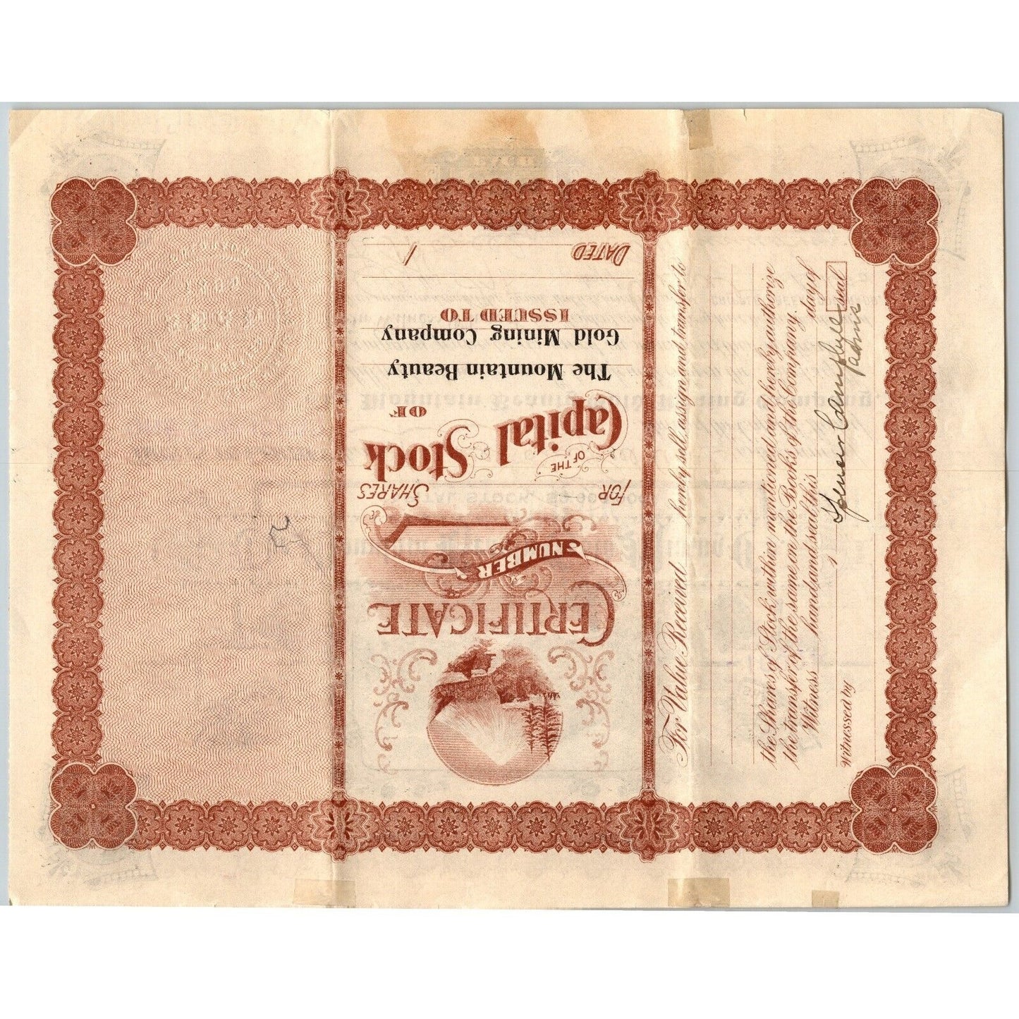 Mountain Beauty Gold Mining Co 1900 Stock Certificate Cripple Creek #4219