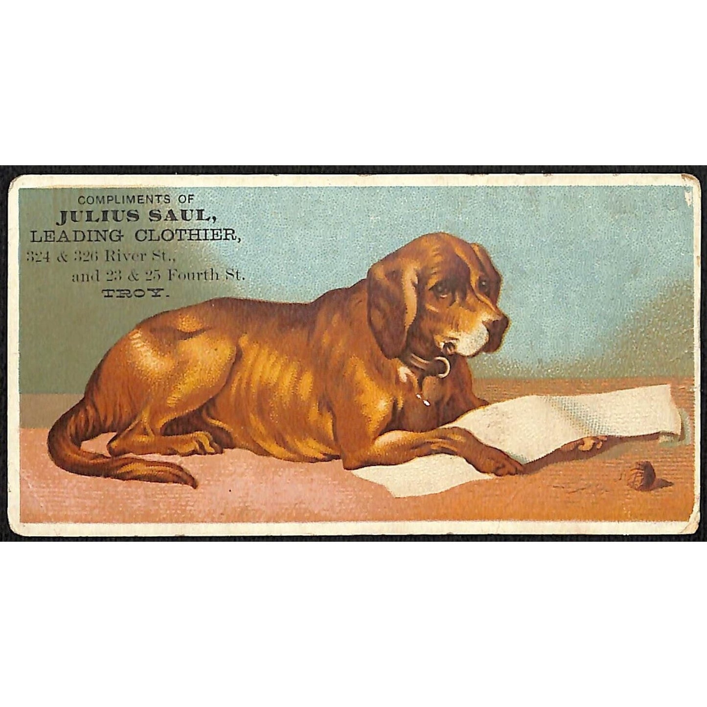 Julius Saul Troy, NY Clothier Victorian Trade Card Dog Rests on Floor