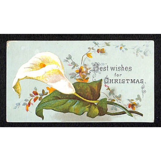Best Wishes for Christmas Victorian Trade Card Holiday Floral Roses VGC