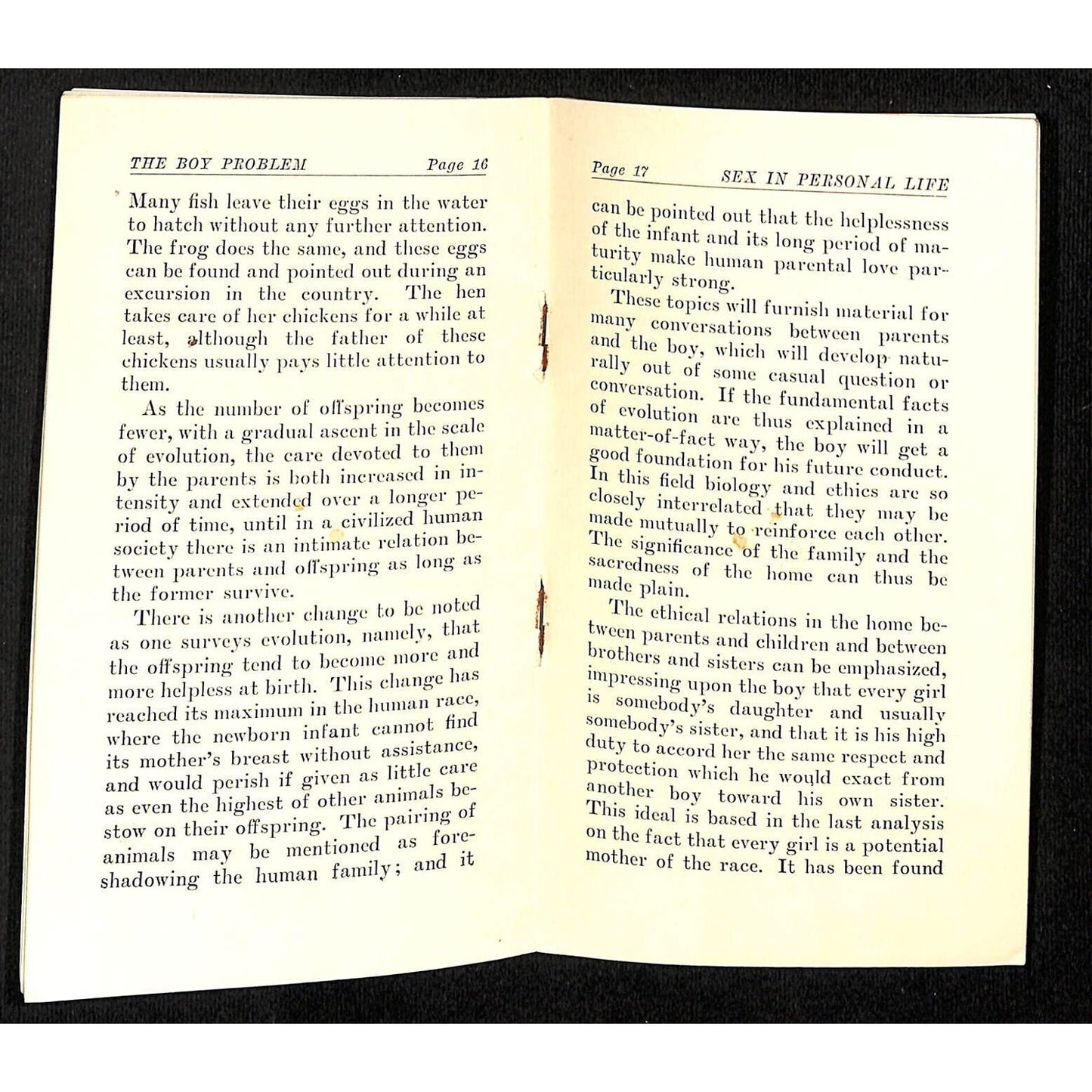 "The Boy Problem" 1920 Sex Education Pamphlet for Parents & Teachers 32pp VGC