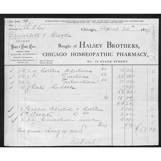 Halsey Brothers Homoeopathic Pharmacy Chicago 1874 Billhead Scarce
