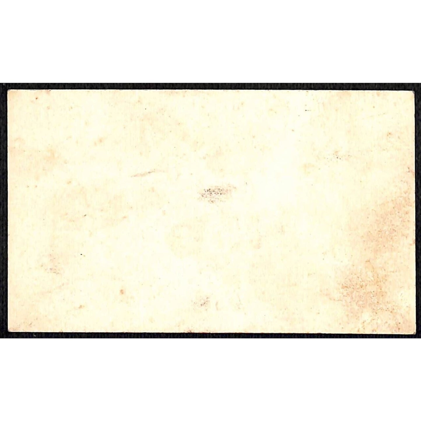Butterfly Floral Victorian Greeting Card w/ Write-in Panel Dated 1878