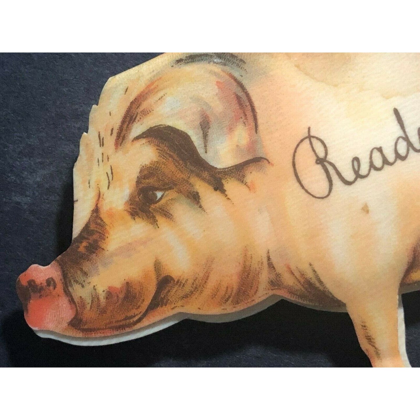 Figural Whitehead & Hoag Celluloid Pig Shaped Adv. Pen Wipe Fort Stanwix Canning