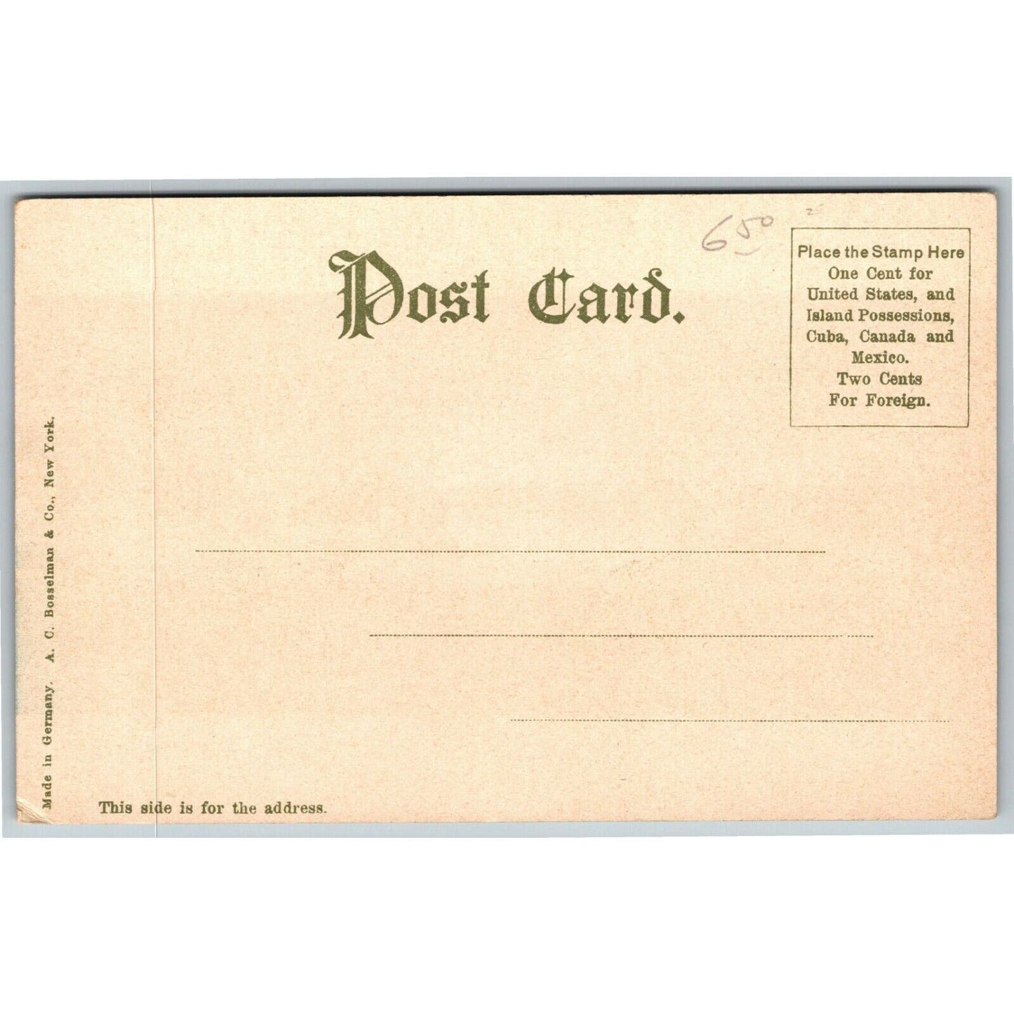 Vintage c1901-07 New York Postcard "Botonical Museum and Gardens" (Bosselman)