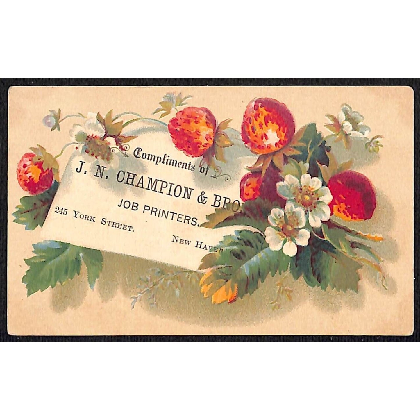 New Haven CT Victorian Trade Card J.N. Champion & Bros. Job Printers Flowers