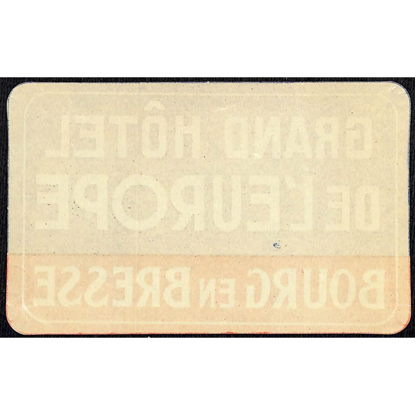 Grand Hôtel De L'Europe Bourg en Bresse Paper Luggage Label Vintage NOS VGC