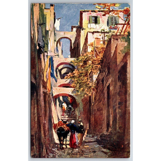 Naples "A Street in San Rey" Postcard c1901-1907 NP