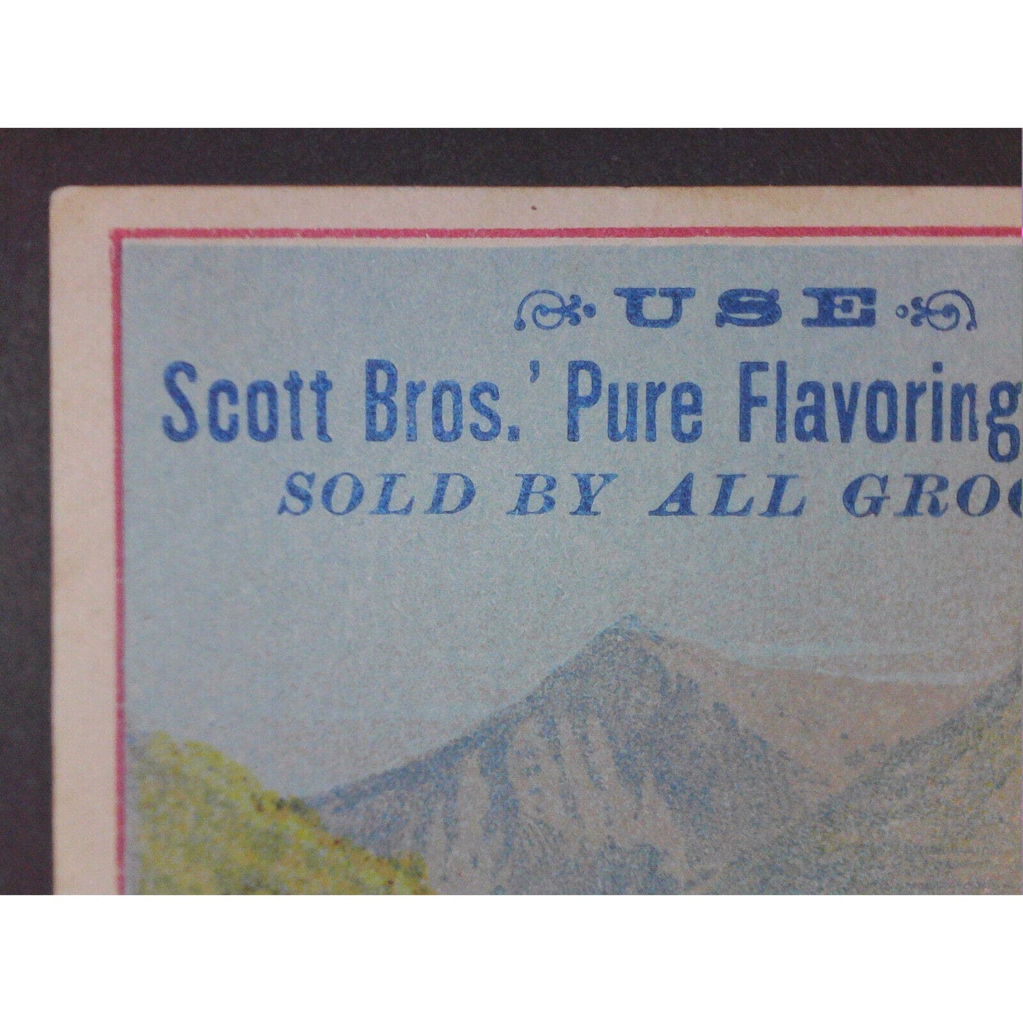 Victorian Advertising Trade Card - Scott Brothers Pure Flavoring Extracts