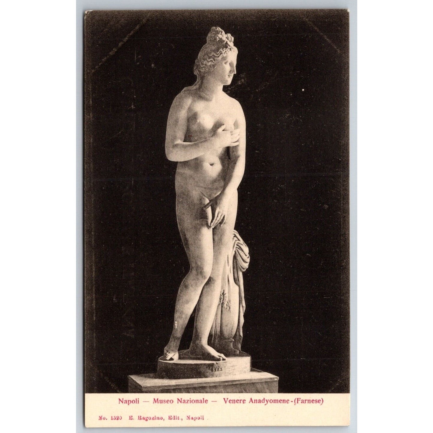 Naples Notional Museum Venus Anadyomene Sculpture Postcard c1901-1907 NP