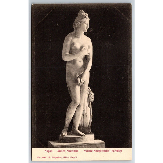 Naples Notional Museum Venus Anadyomene Sculpture Postcard c1901-1907 NP