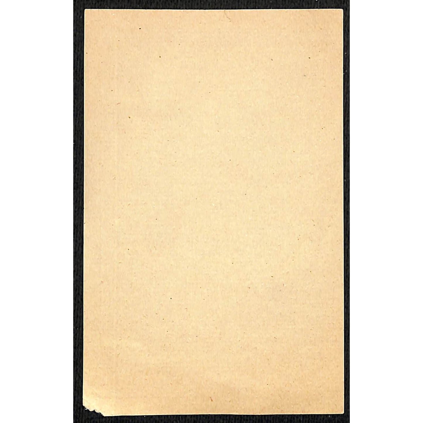 Hotel Digne Ermitage Napoleon Paper Luggage Label Vintage NOS VGC Scarce