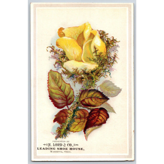 Marietta, OH H. Lord & Co Victorian Trade Card "Leading Shoe House"
