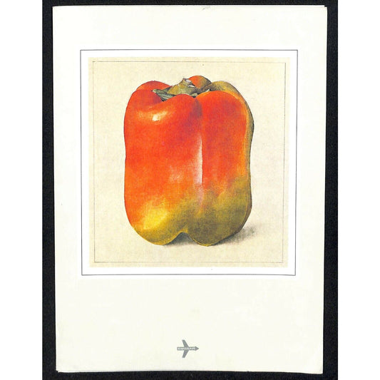 c1980 Swissair Menu Zurich - Santiago Tourist Class w/ Pepper Cover Art