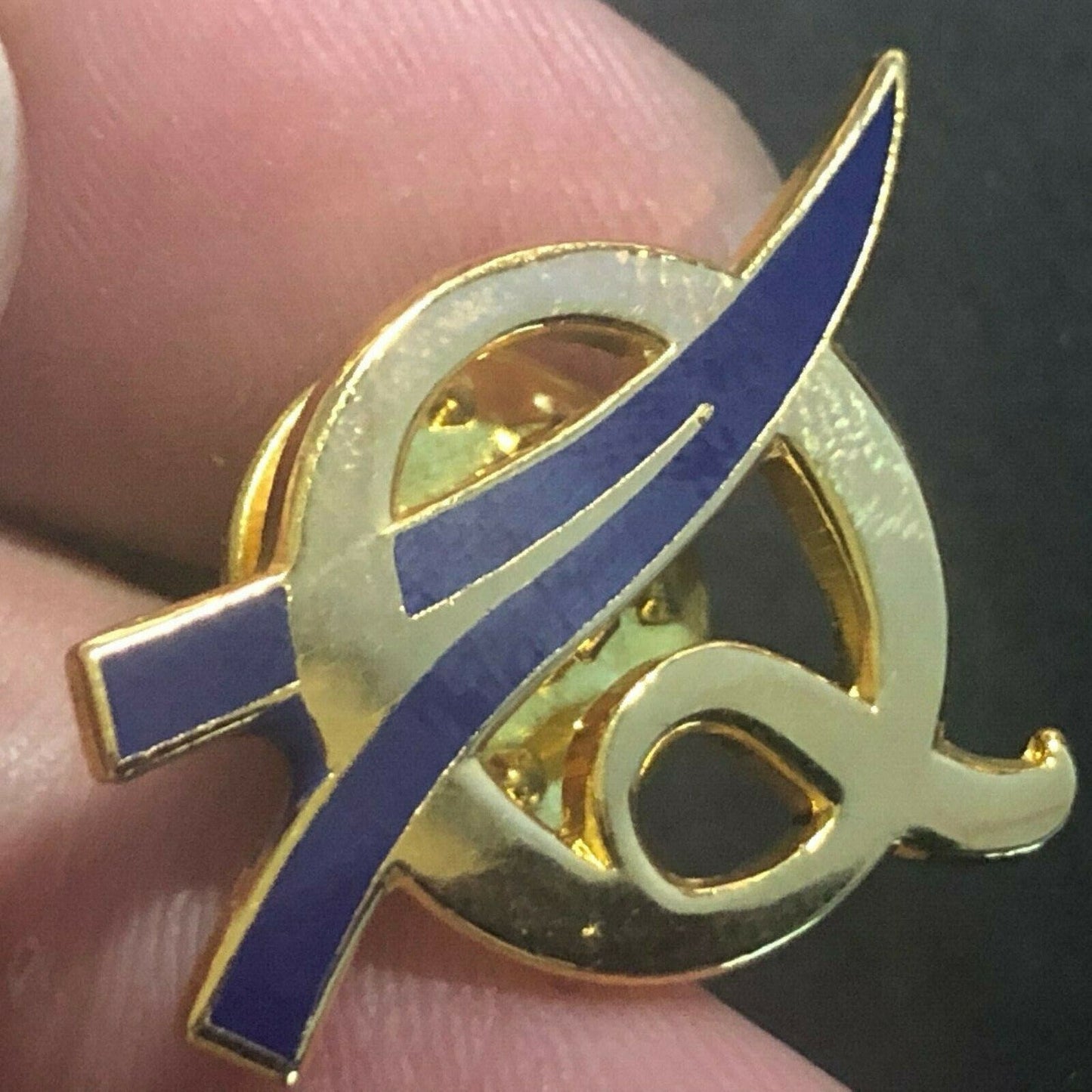 Official NASA "Q" (Quality Exam) Enamel & Polished Brass Lapel Pin