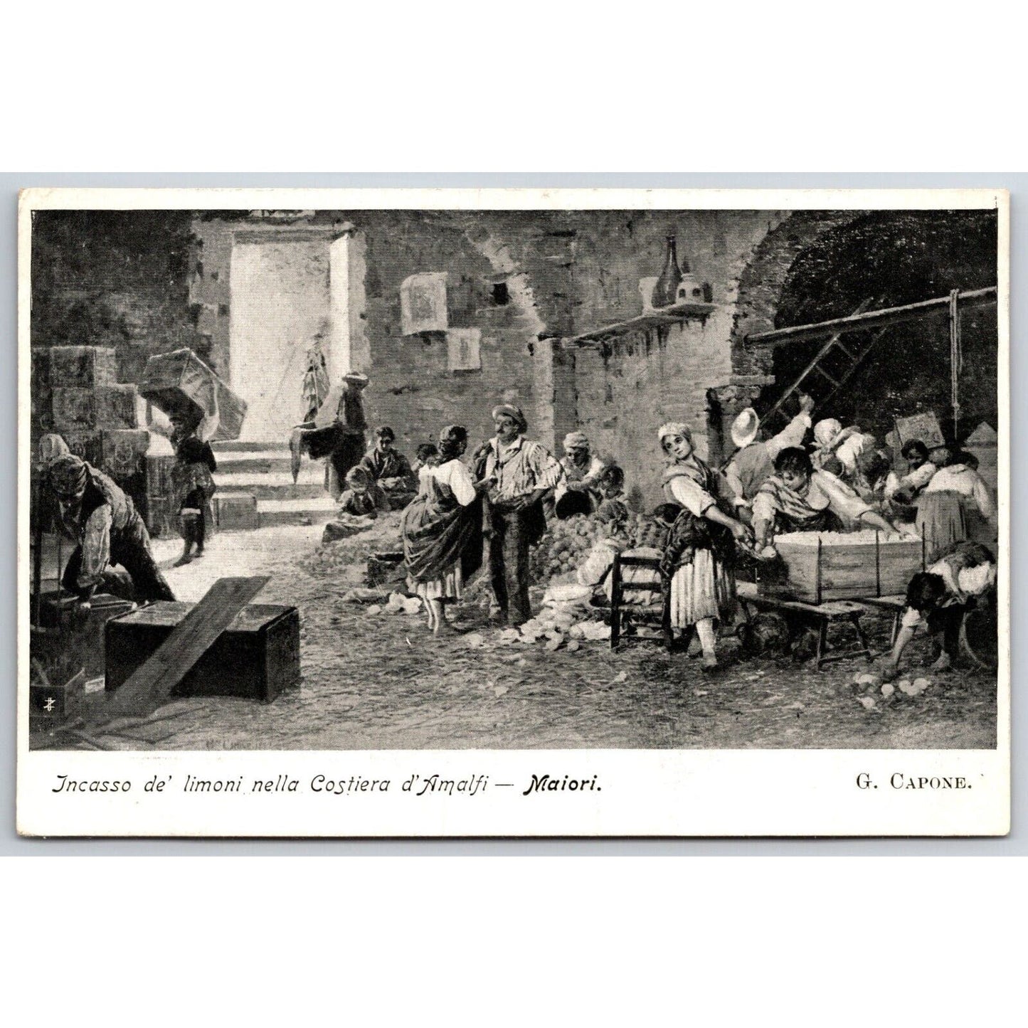 Italian Postcard Maiori Collection of Lemons on Amalfi Coast 1901-1907 NP VGC