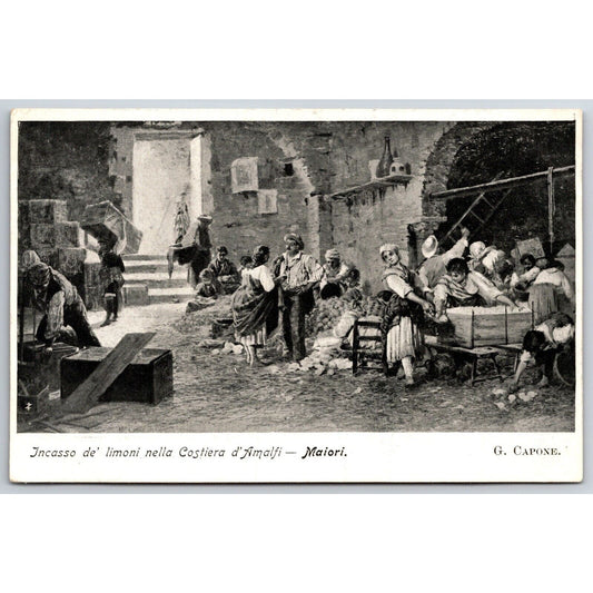Italian Postcard Maiori Collection of Lemons on Amalfi Coast 1901-1907 NP VGC