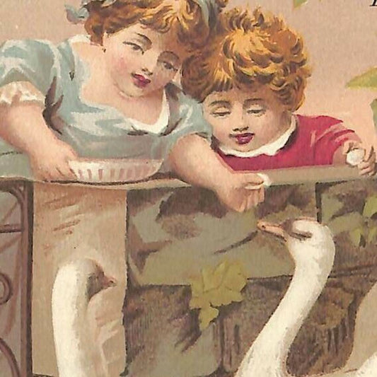 c1880-90's Victorian Trade Card - T.R. Kemp Groceries Philadelphia Kids Swans