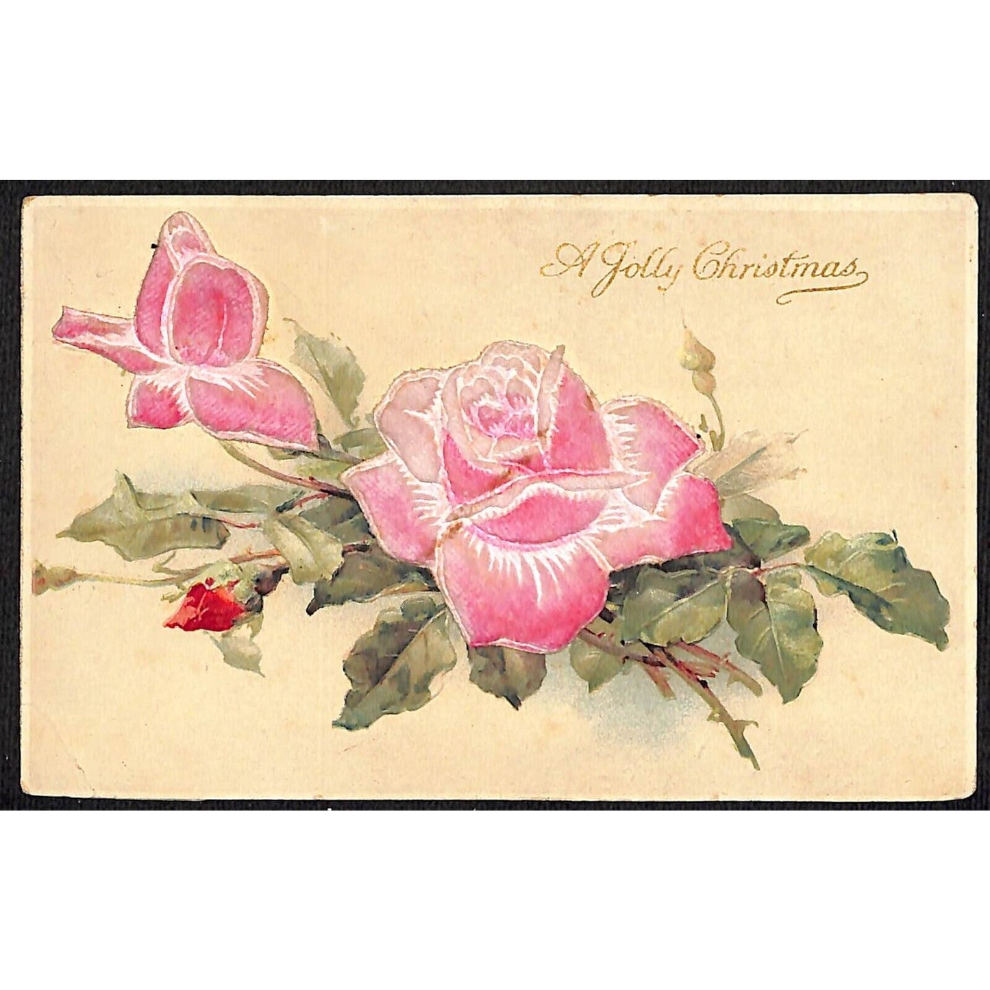 Christmas Postcard "A Jolly Christmas" Textured Flower Petals c1910