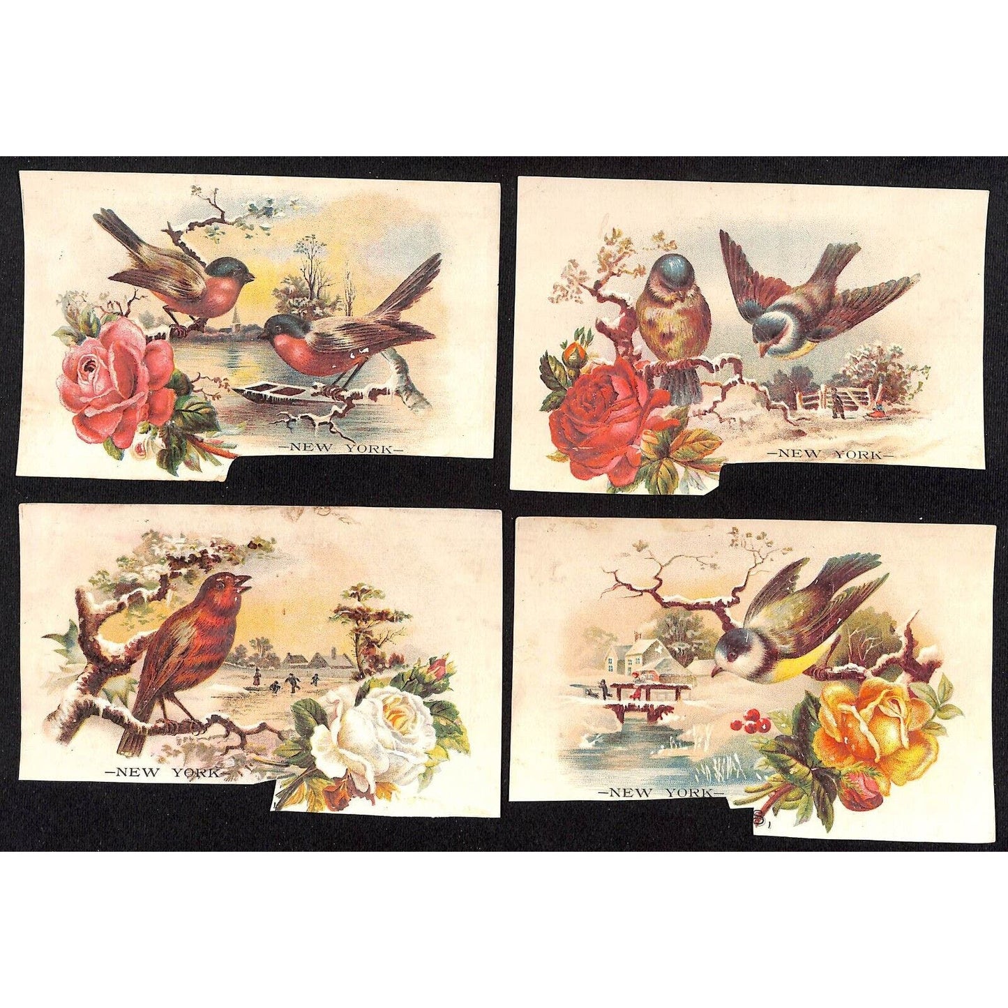 New York Dental Parlors Louisville KY (4) Victorian Trade Cards w/ Birds