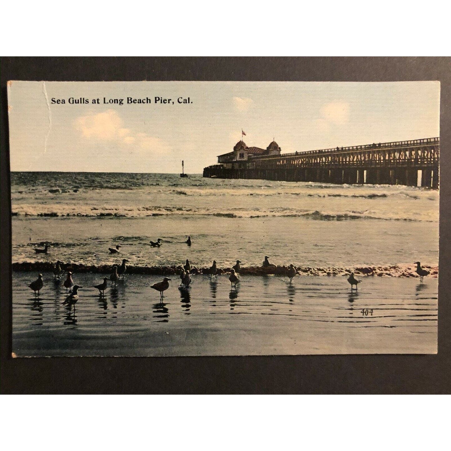 Vintage Linen Postcard - Sea Gulls at Long Beach, California
