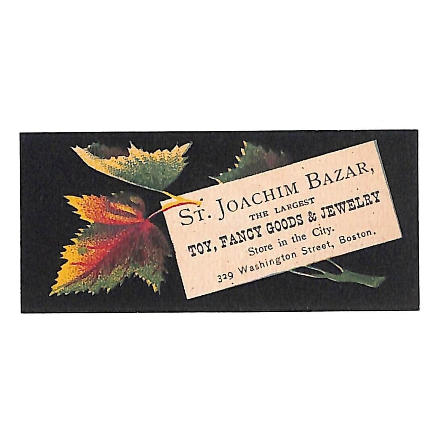 Boston Victorian Trade Card St. Joachim Bazar Toy Fancy Goods Jewelry Leaves