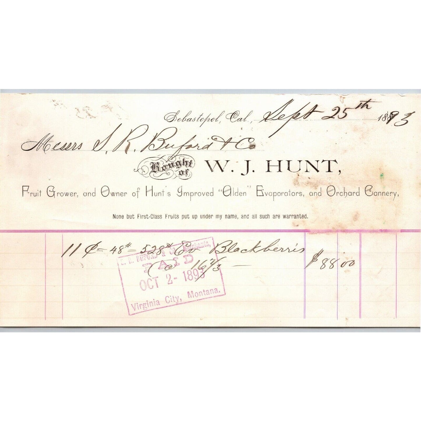 1893* W.J. Hunt Fruit Grower Sebastopol, CA Letterhead S.R. Buford Montana