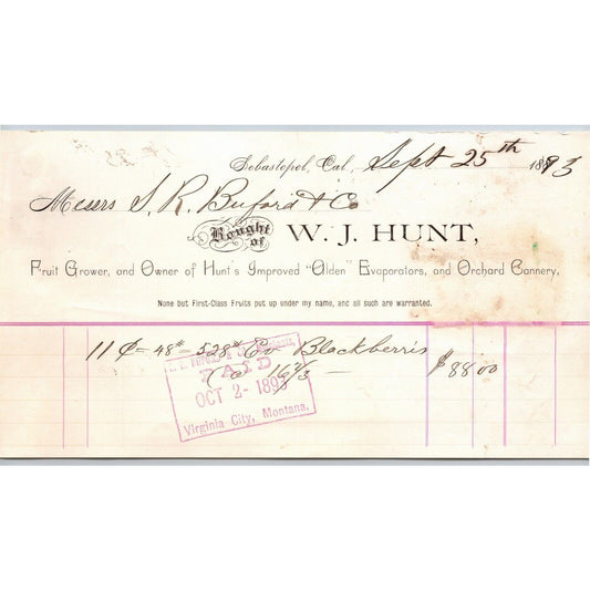 1893* W.J. Hunt Fruit Grower Sebastopol, CA Letterhead S.R. Buford Montana